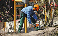 Motosserras para construção civil