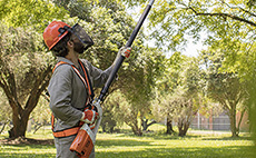 Motopodas para conservação e jardinagem profissional